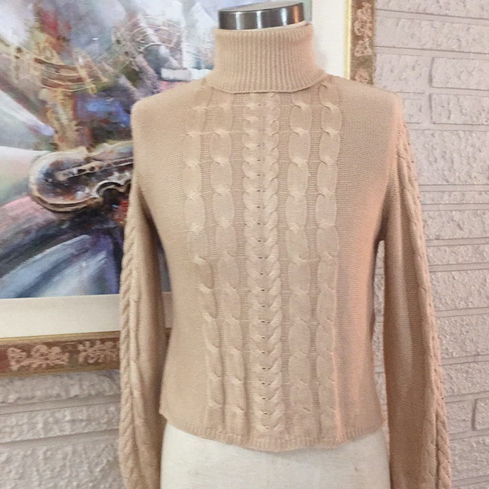 No Tags Silky Stretch Knit Turtleneck Top